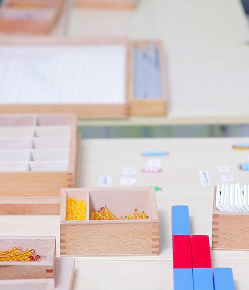 Pre-Primary-Kindergarten--8